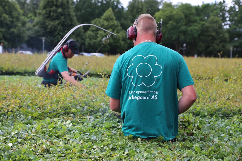 anlaegsgartnerfirmaet-kirkegaard-a-s-10.jpeg