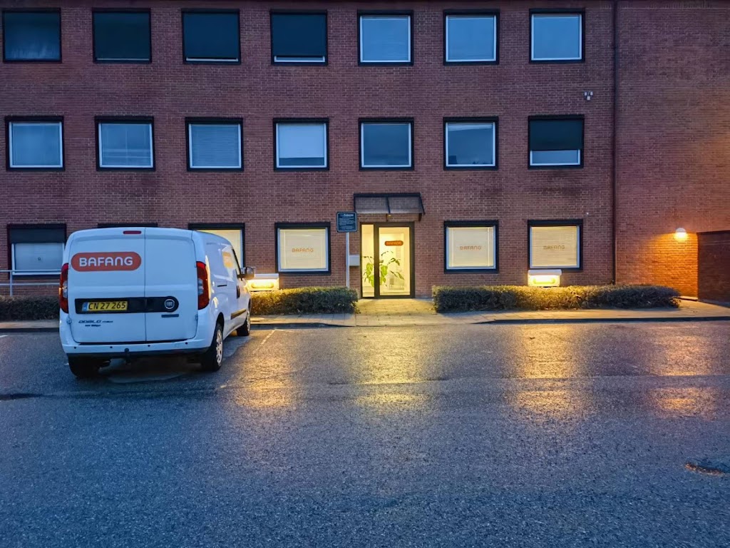 bafang-nordic-2.jpeg