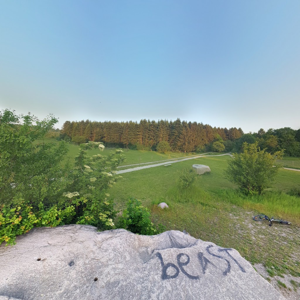 hvissingestenen-sjaellands-storste-sten-11.jpeg