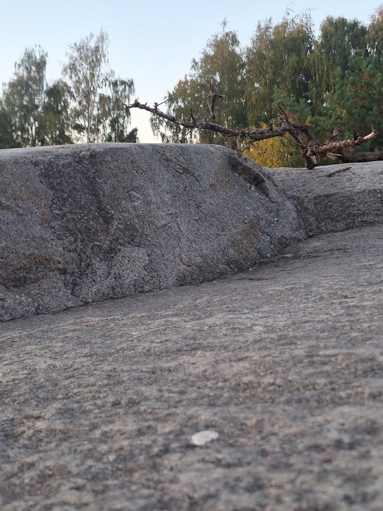 hvissingestenen-sjaellands-storste-sten-13.jpeg