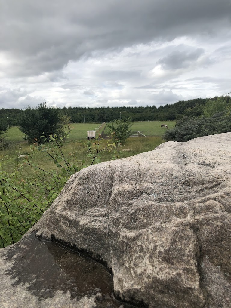 hvissingestenen-sjaellands-storste-sten-6.jpeg