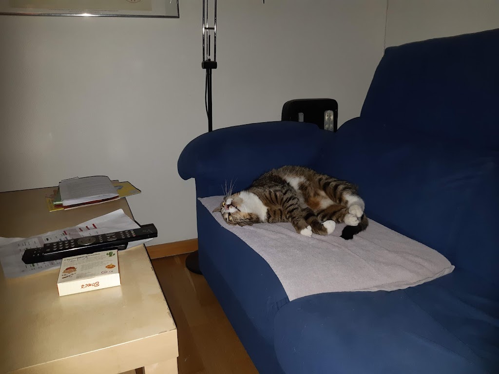 inges-kattehjem-1.jpeg