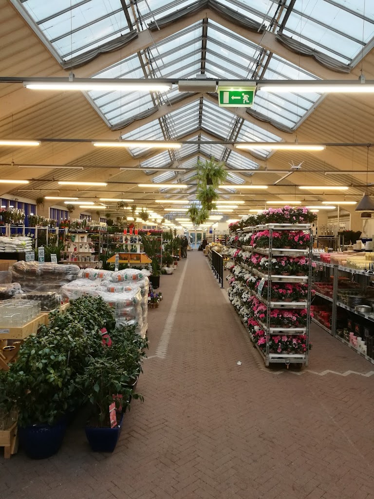 jimmis-blomster-ince-17.jpeg