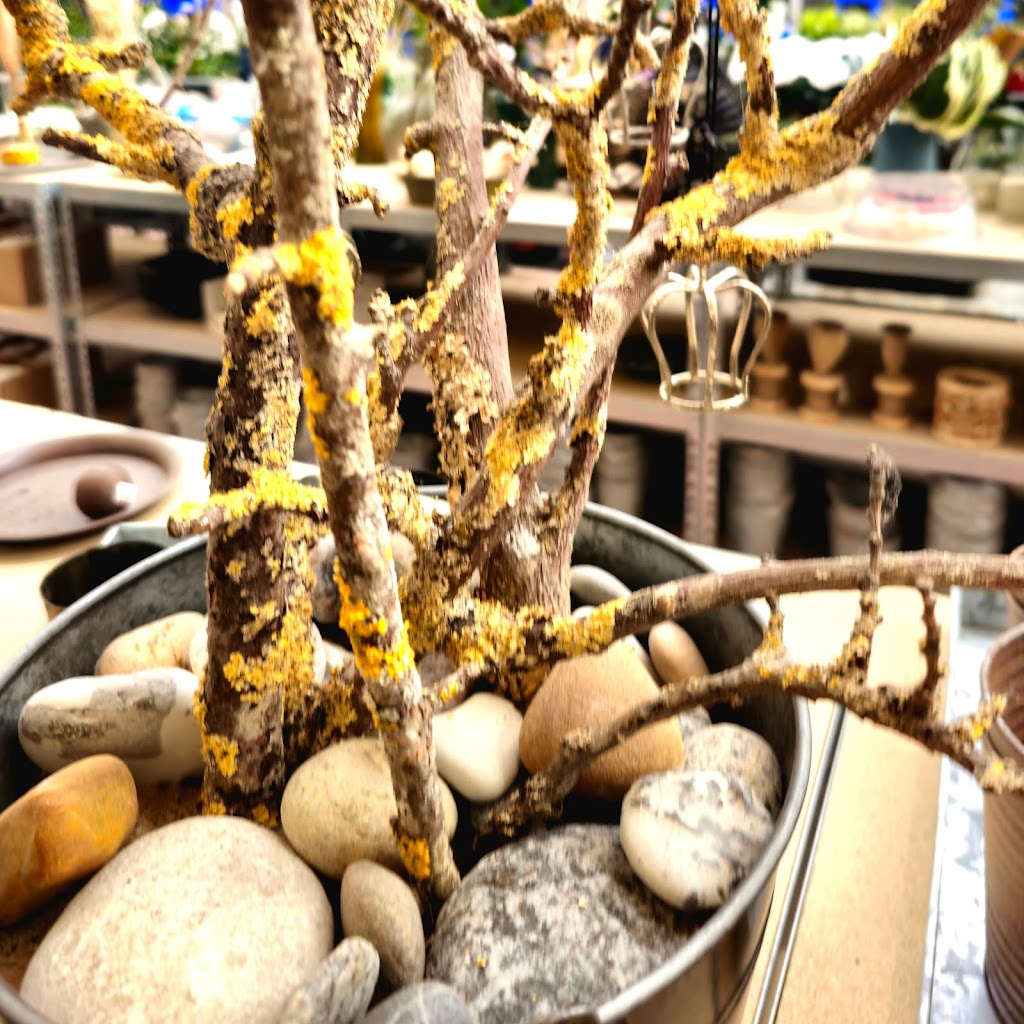 jimmis-blomster-ince-9.jpeg