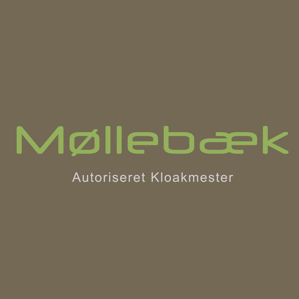 mollebaek-4.jpeg