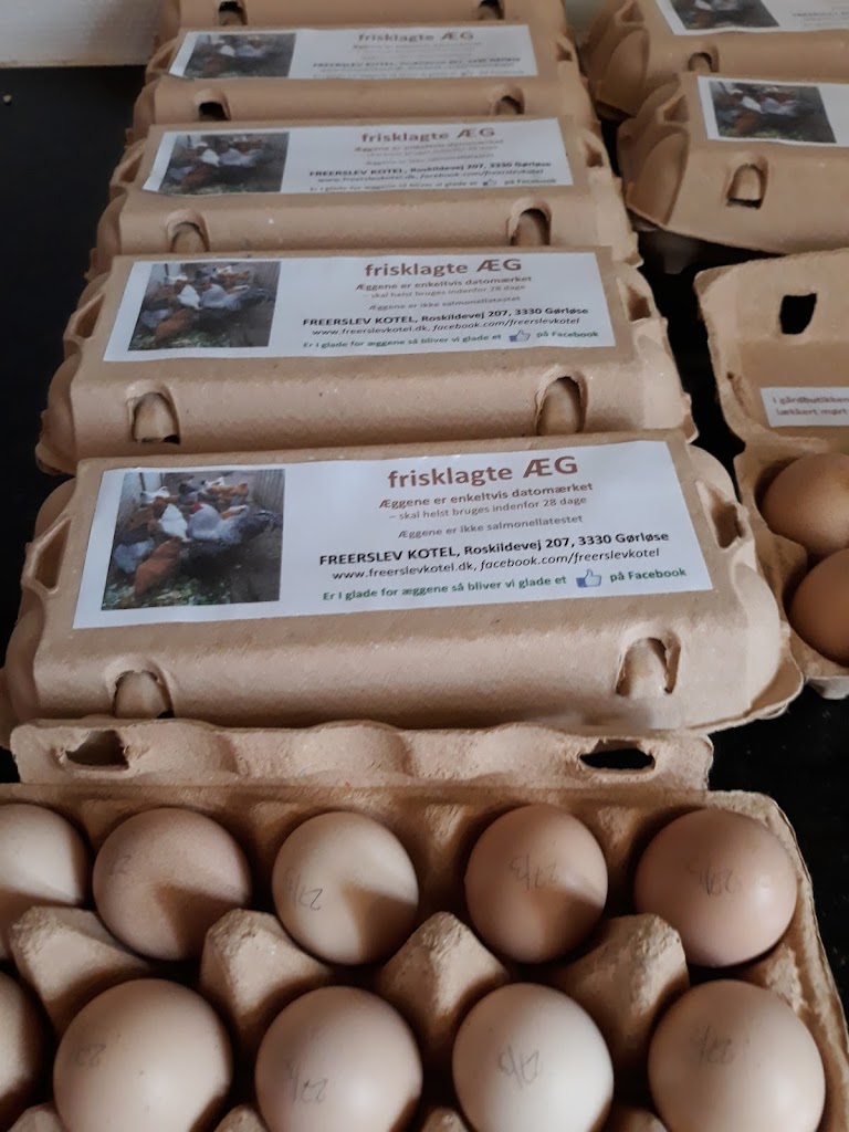 freerslev-kotel-besogsgard-og-gardbutik-v-erik-og-inge-christoffersen-jensen-16.jpeg