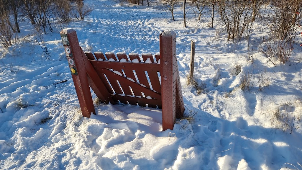gorlose-skov-hundehegn-0.jpeg