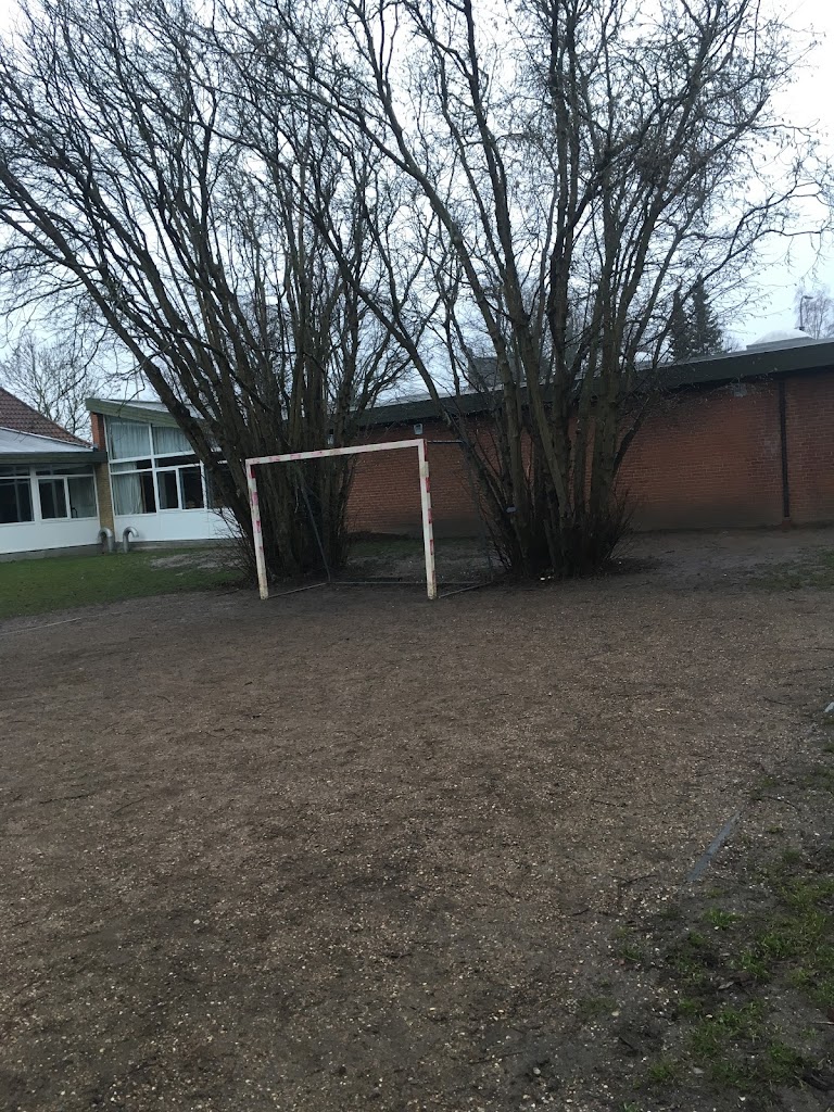 hanebjerg-skole-gorlose-1.jpeg