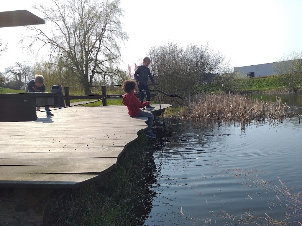 folkeparken-graested-5.jpeg