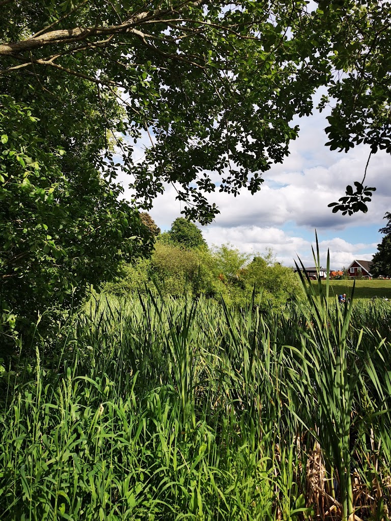 folkeparken-graested-8.jpeg