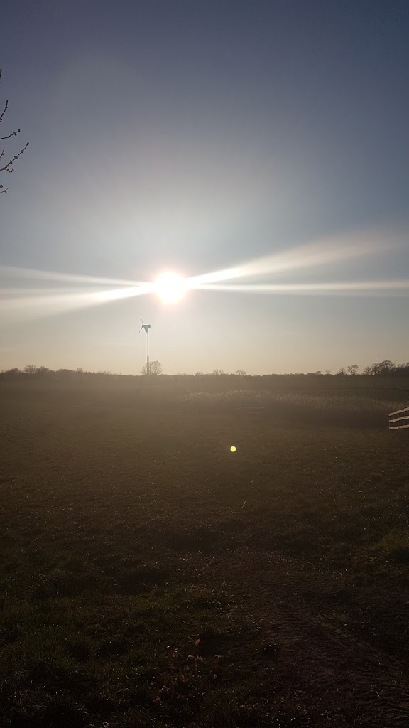 skovloberen-2.jpeg