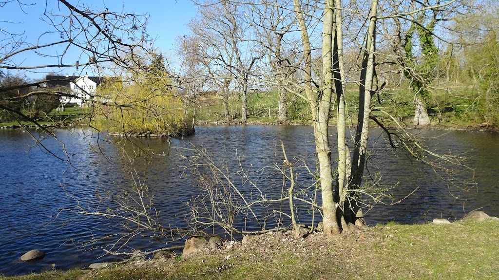 udsholt-gadekaer-og-beboere-14.jpeg