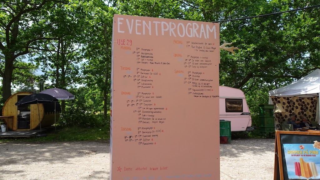 verdens-bedste-skovtur-7.jpeg