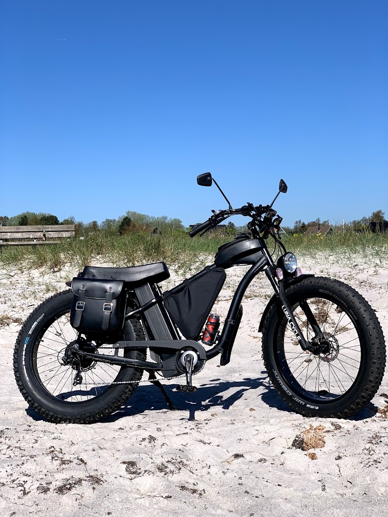 geder-ved-hundige-strand-5.jpeg