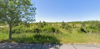 greve-skov-og-hundeskov-3.jpeg