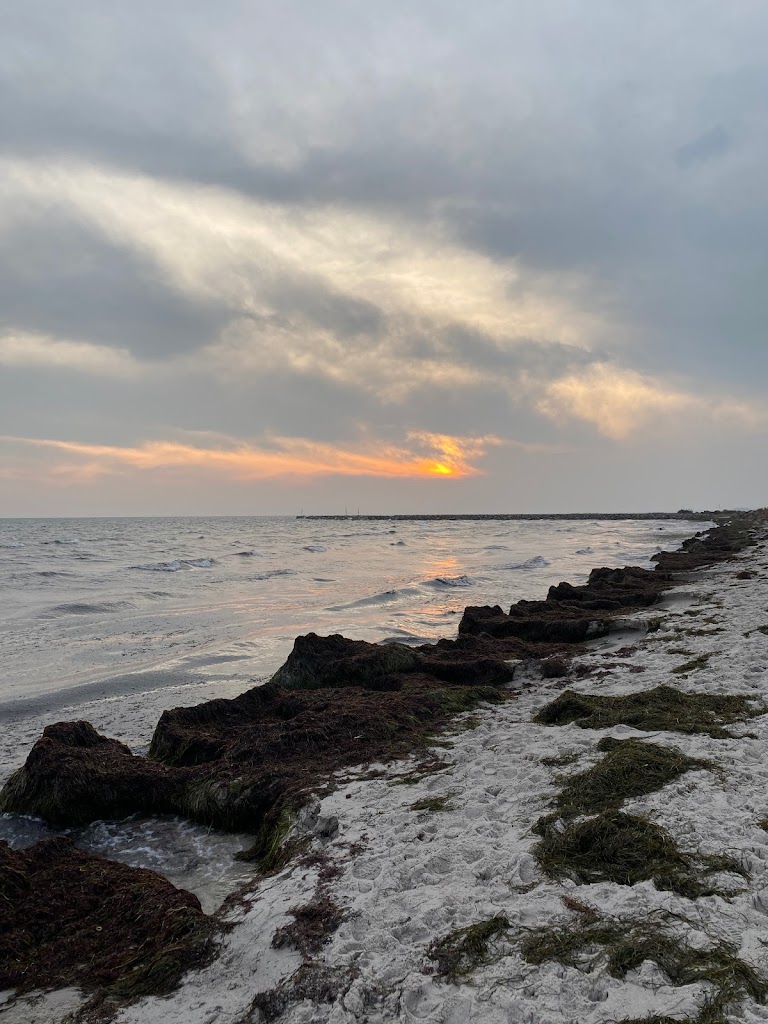 hundestrand-hundige-0.jpeg