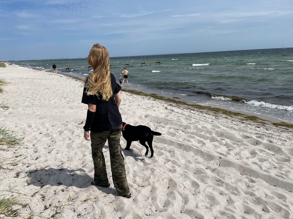 hundestrand-hundige-1.jpeg