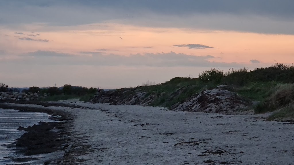 hundestrand-hundige-15.jpeg