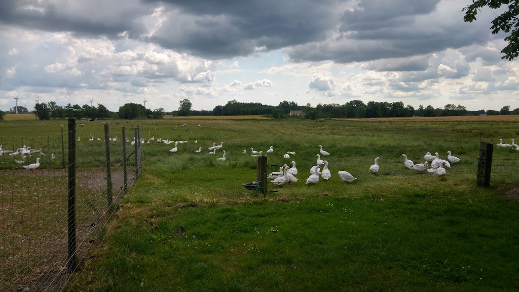 glovermosegaard-gardbutik-18.jpeg