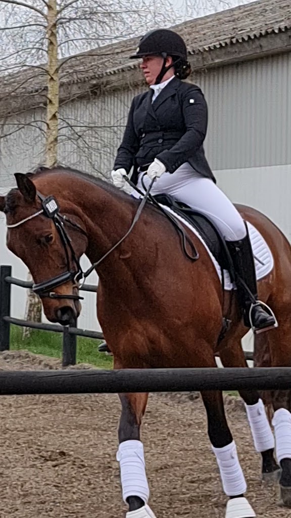 nyskovens-sportsrideklub-0.jpeg