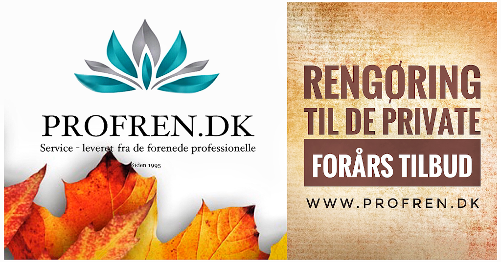 profren-dk-rengoring-service-leveret-af-professionelle-6.jpeg