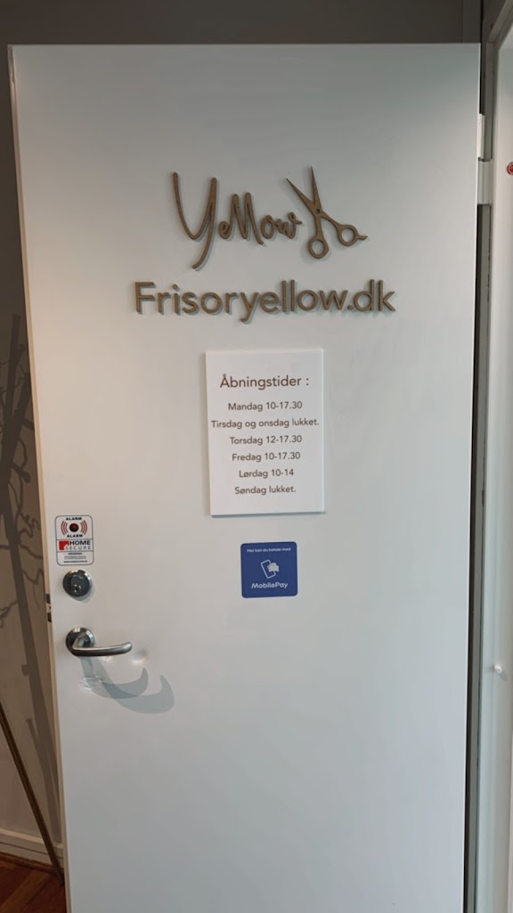 rosenso-14.jpeg