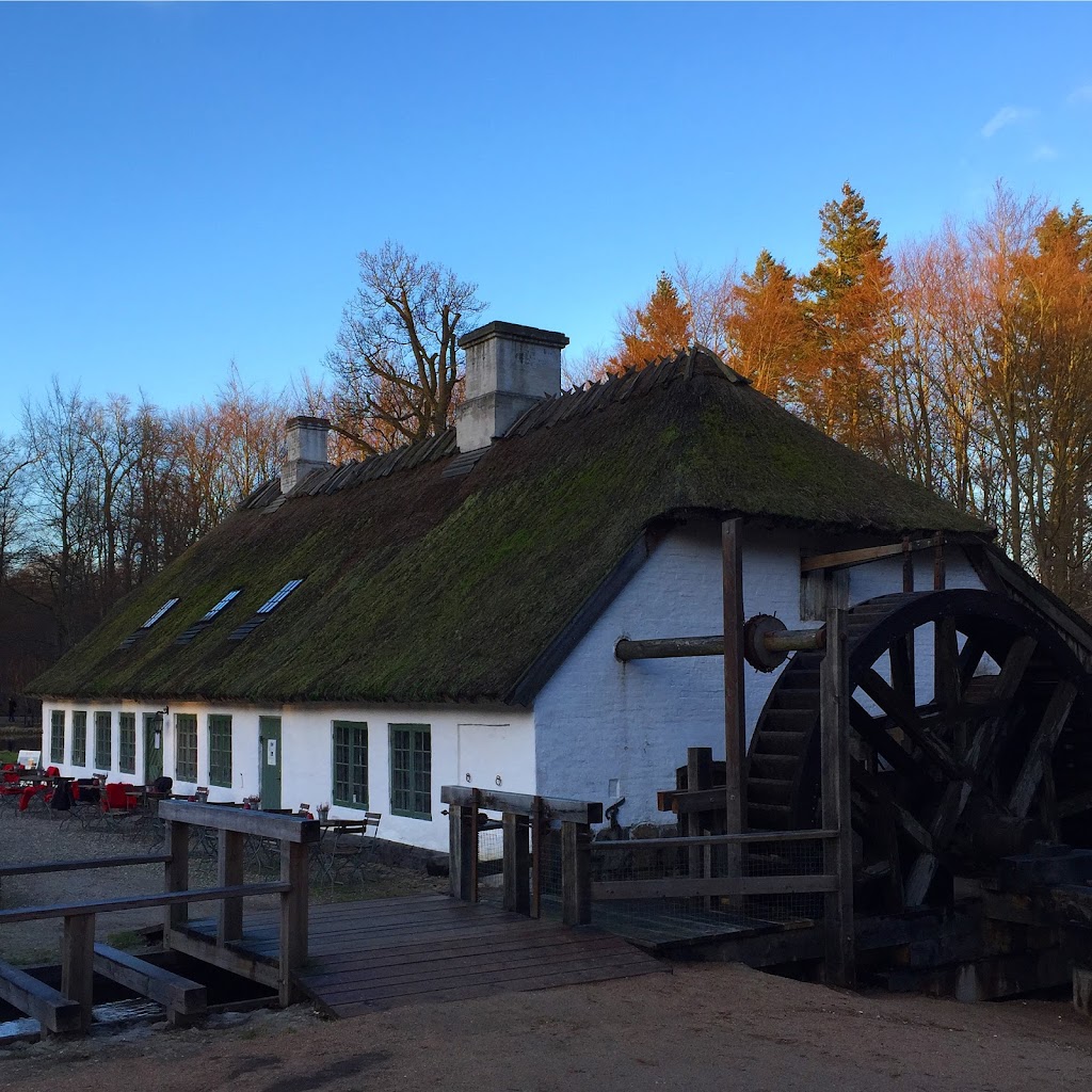 hammermollecafeen-5.jpeg