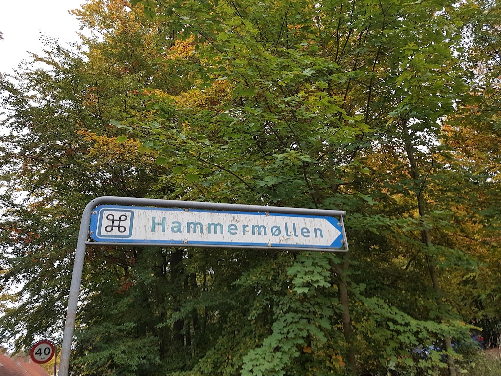 hammermollecafeen-9.jpeg