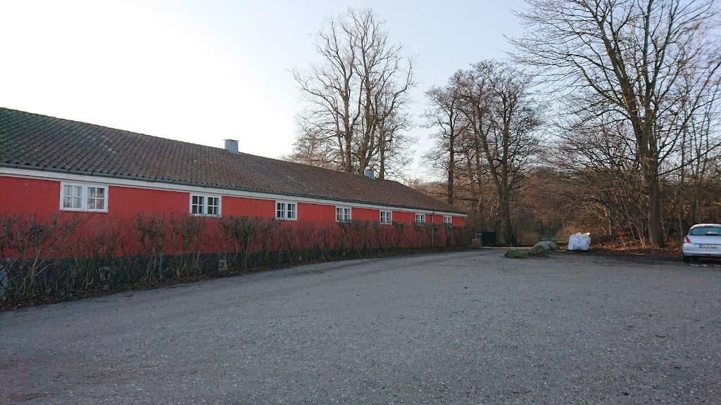 skorpeskolen-6.jpeg