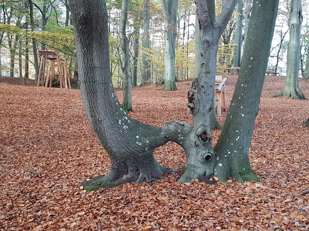 svejstrup-jesper-3.jpeg