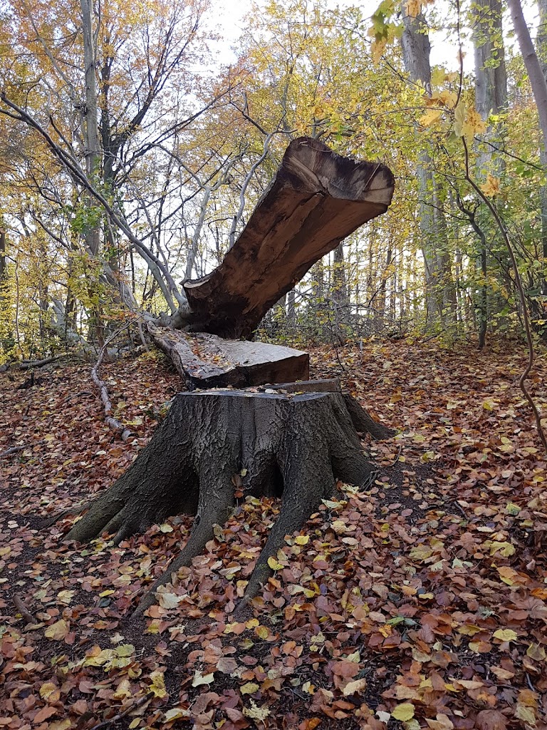 svejstrup-jesper-6.jpeg