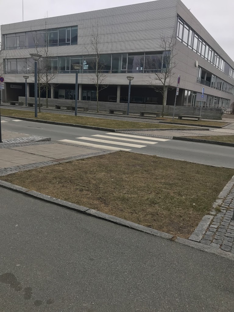 hellerup-skole-5.jpeg