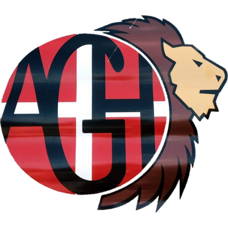 agh-transport-v-vognmand-anders-grondahl-hansen-1.jpeg