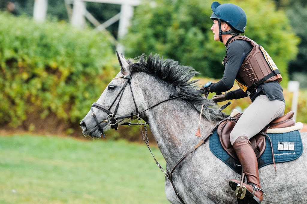 bagge-equestrian-0.jpeg