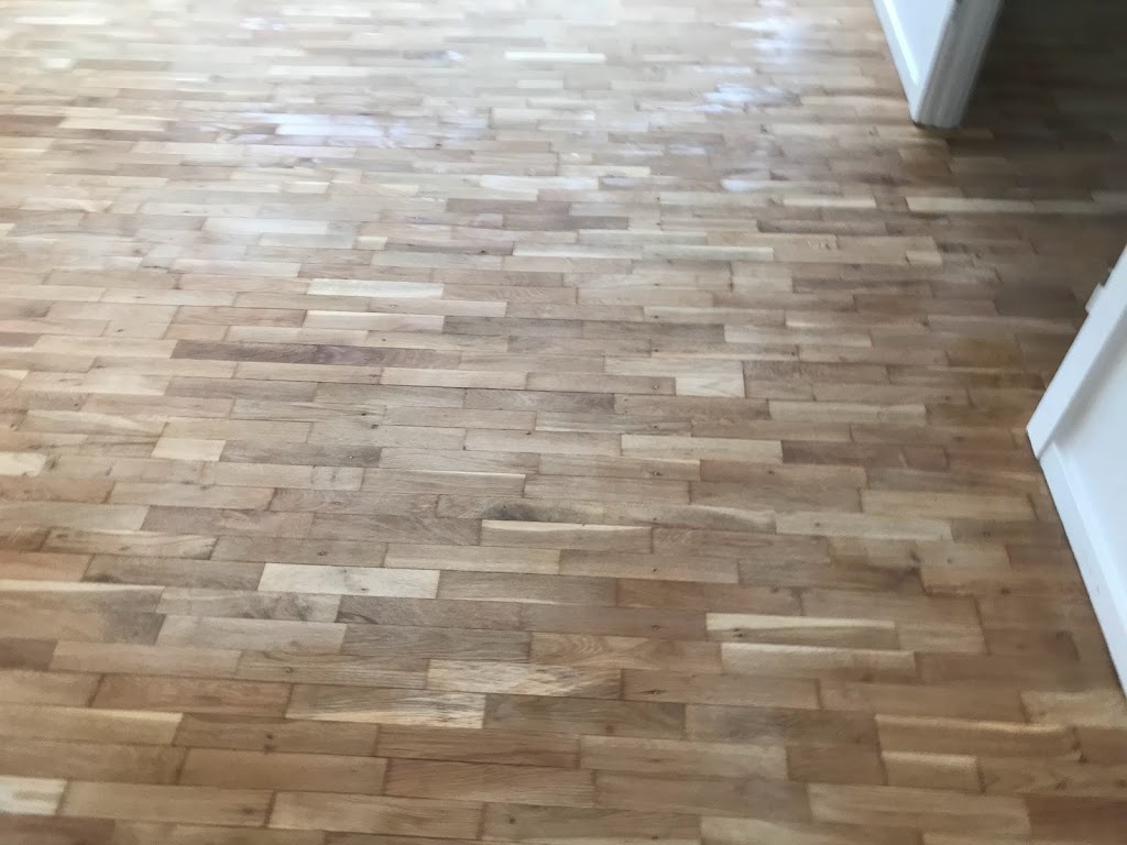 floorcare-13.jpeg