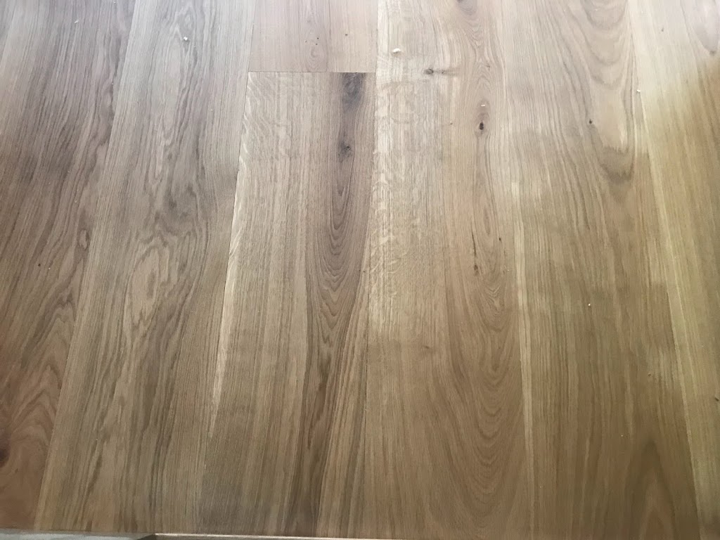 floorcare-18.jpeg