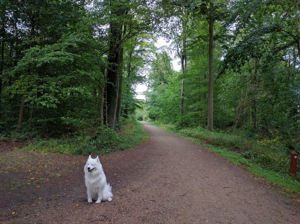 helsinge-camping-11.jpeg