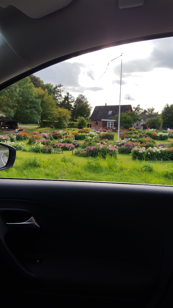 helsinge-haven-18.jpeg