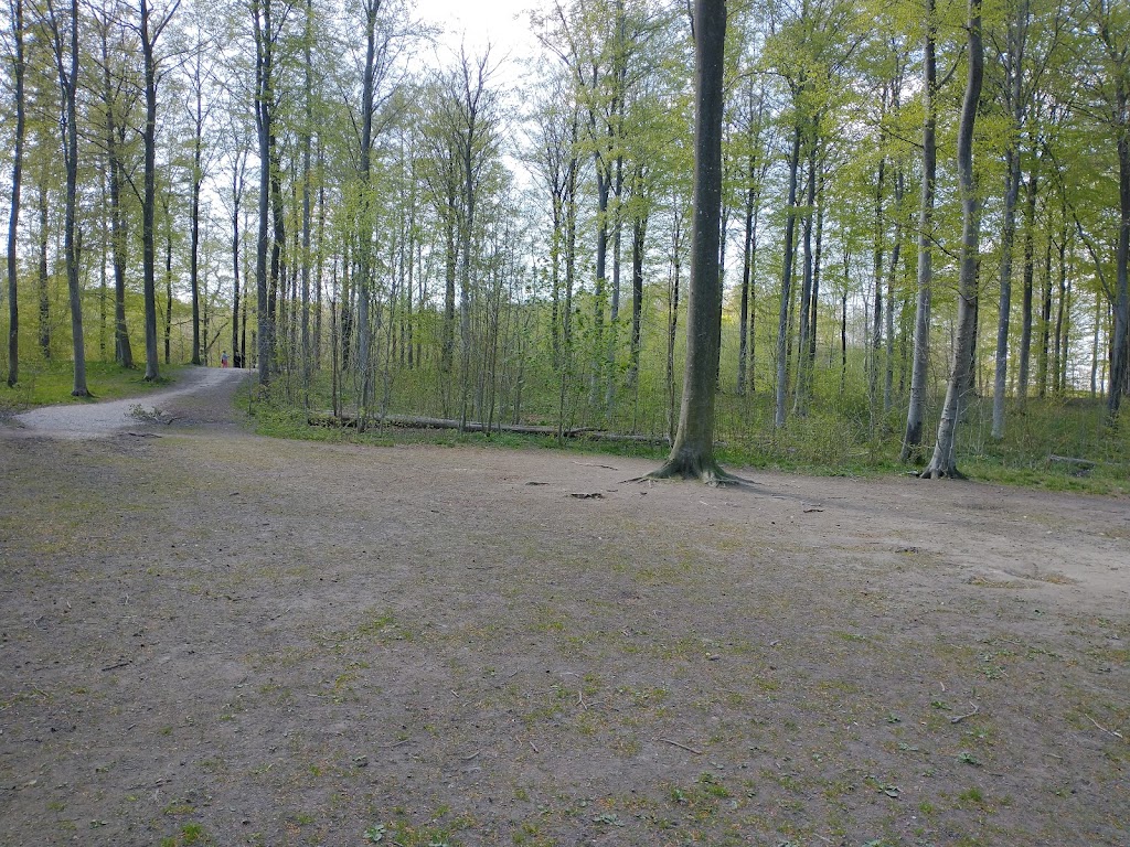 hundeskoven-helsinge-1.jpeg