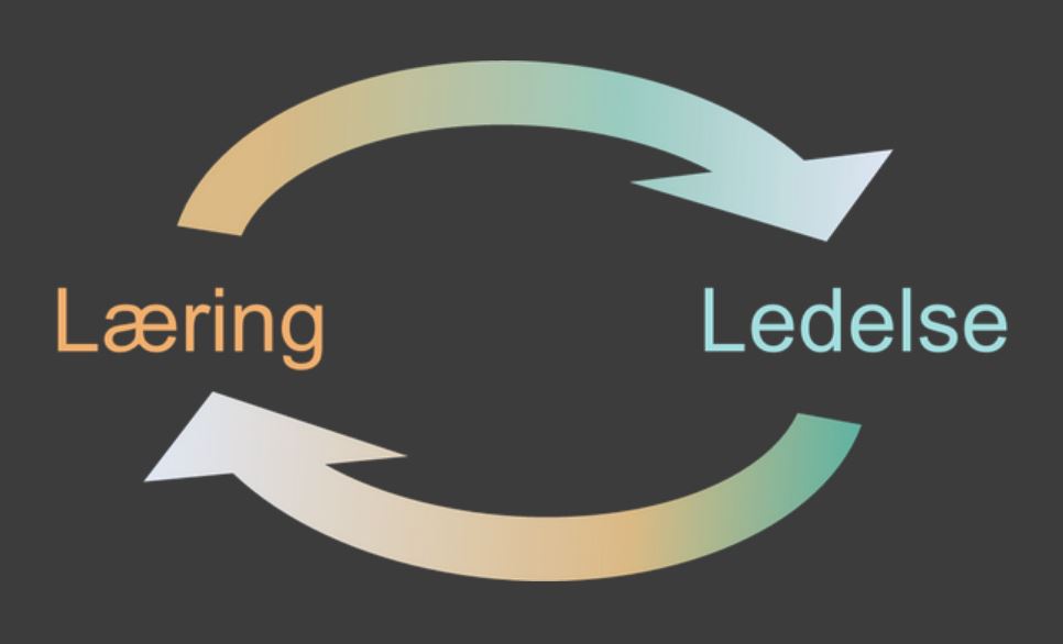laering-ledelse-0.jpeg