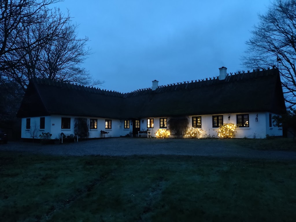 lindedahl-juletraeer-pyntegront-v-henrik-lindeburg-2.jpeg