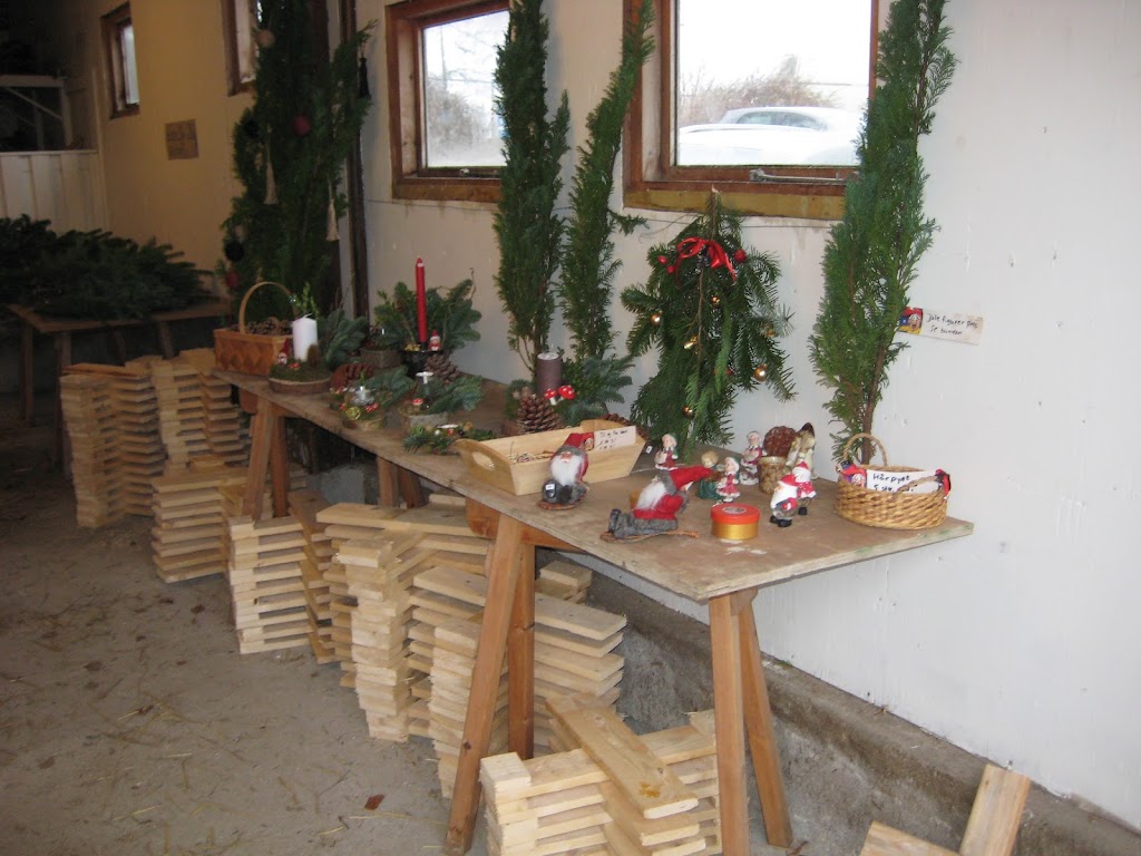 ostergaard-juletraeer-baeredygtige-0.jpeg