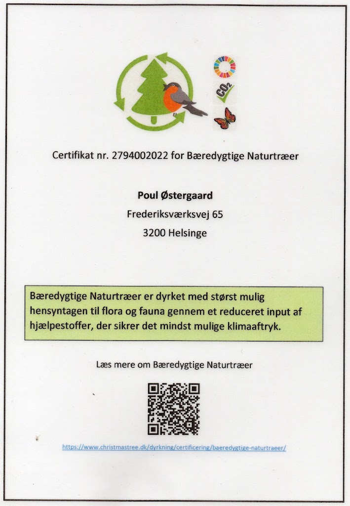 ostergaard-juletraeer-baeredygtige-1.jpeg