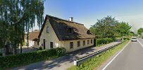 ostergaard-juletraeer-baeredygtige-2.jpeg