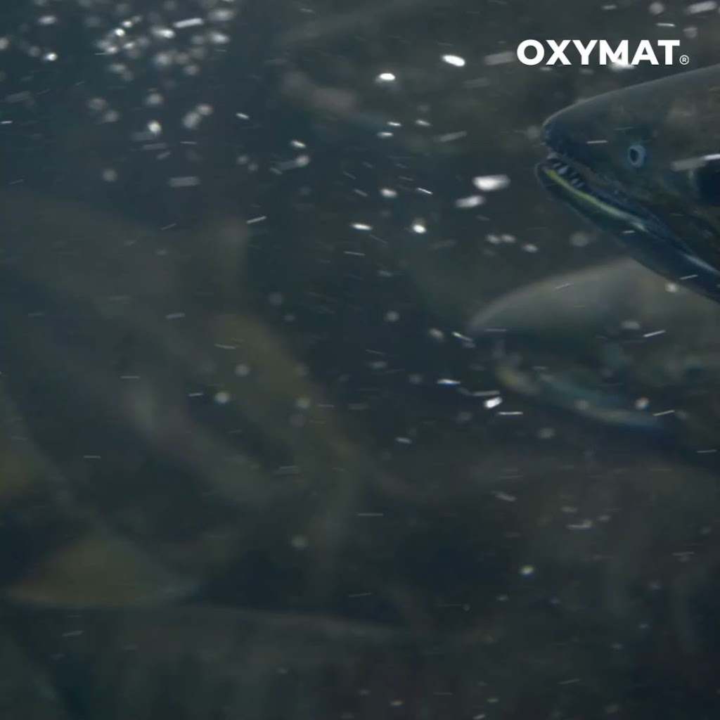oxymat-7.jpeg