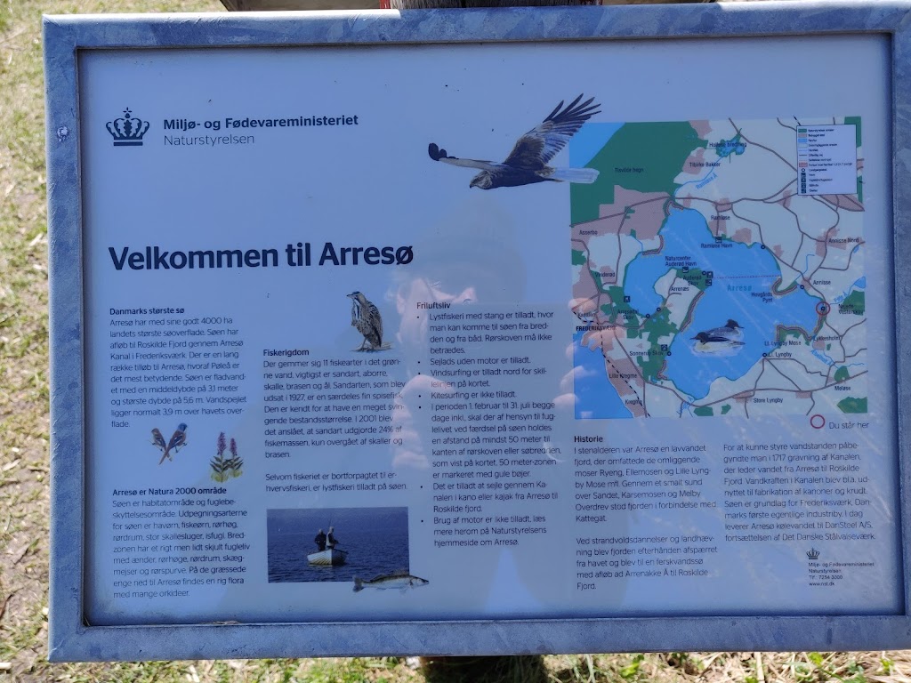poleaen-2.jpeg
