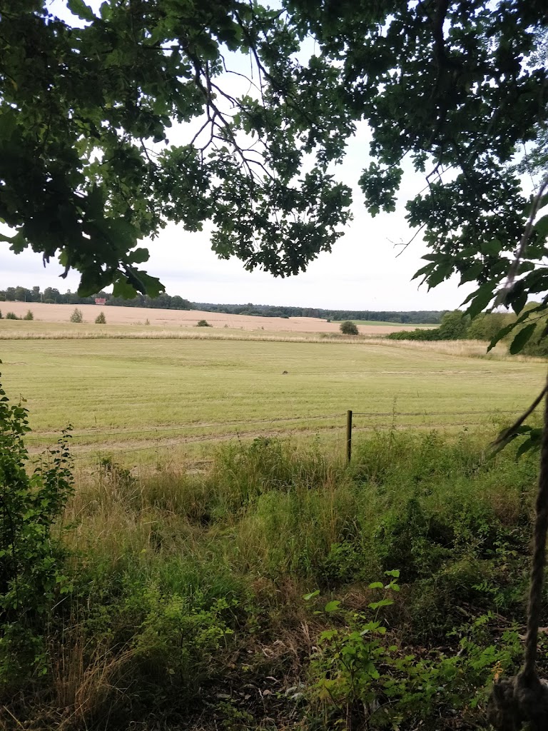 rabjerghytten-2.jpeg