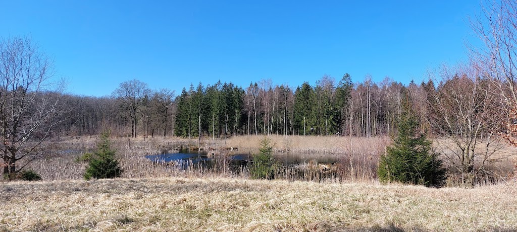 slettetur-marum-1.jpeg