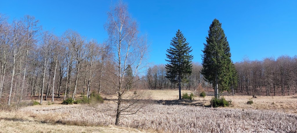 slettetur-marum-2.jpeg