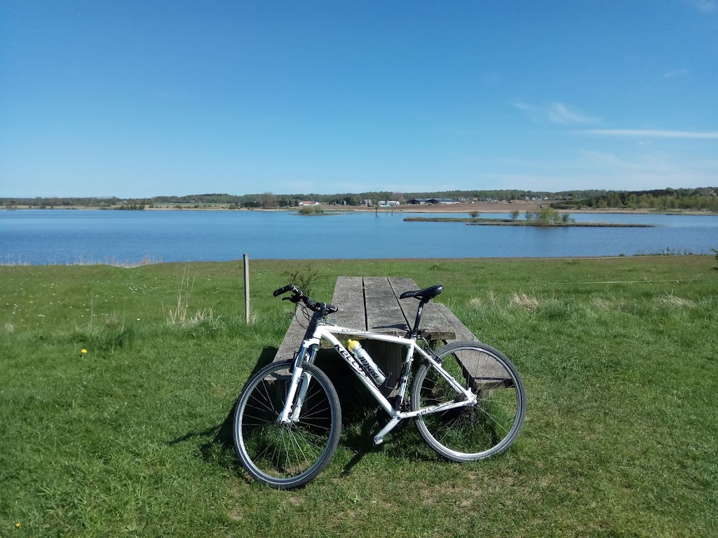 solbjerg-engso-10.jpeg